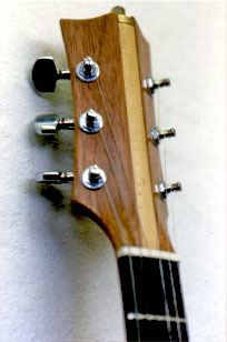 Antol Guitar #2